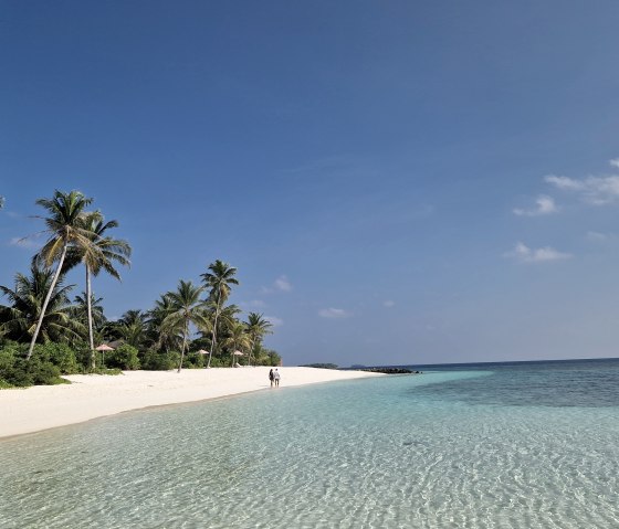 test, © Janine Kather test, © Janine Kather