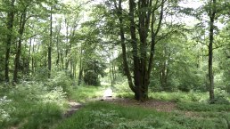 Moore-Pfad Schneifel, © Tourist-Information Prümer Land Moore-Pfad Schneifel, © Tourist-Information Prümer Land