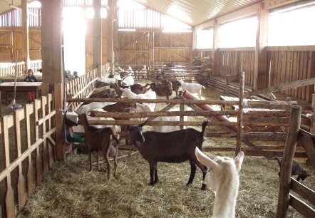 Hof Steinrausch Hof Steinrausch