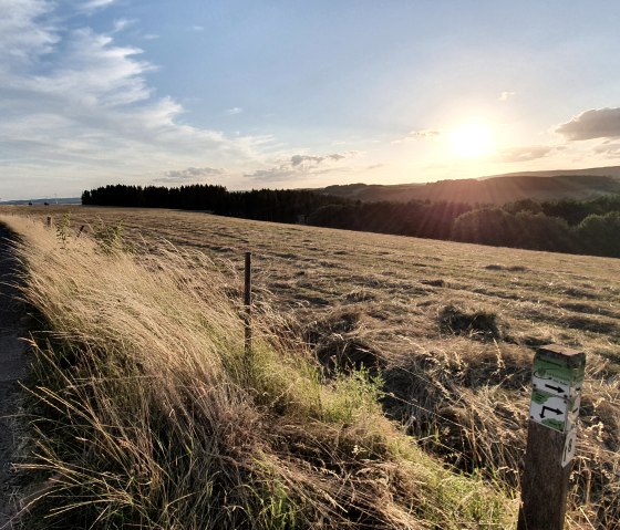 Wanderweg durchs Mehlenbachtal, © Tourist-Information Prümer Land Sebastian Wiesen Wanderweg durchs Mehlenbachtal, © Tourist-Information Prümer Land Sebastian Wiesen
