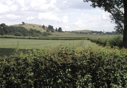 Landschaft bei Schwirzheim, © Tourist-Information Prümer Land Landschaft bei Schwirzheim, © Tourist-Information Prümer Land