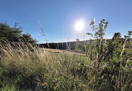 Wandern Natur 1, © Tourist-Information Prümer Land Sebastian Wiesen Wandern Natur 1, © Tourist-Information Prümer Land Sebastian Wiesen