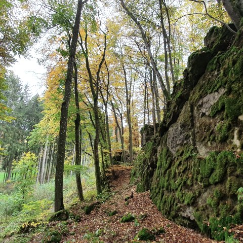 Schönecker Schweiz, © TI Prümer Land, S. Wiesen Schönecker Schweiz, © TI Prümer Land, S. Wiesen