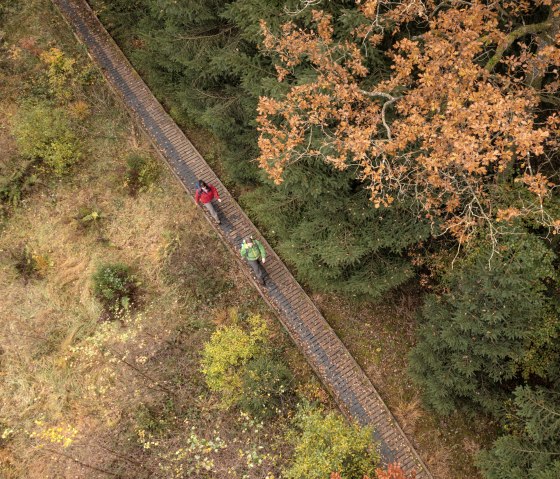 Wandelaars op een loopbrug op de Schneifel heideweg in de herfst, © Eifel Tourismus GmbH, Dominik Ketz Wandelaars op een loopbrug op de Schneifel heideweg in de herfst, © Eifel Tourismus GmbH, Dominik Ketz