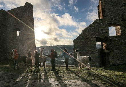 Betriebsausflug 2, © eifelnomaden, J. Baums Betriebsausflug 2, © eifelnomaden, J. Baums