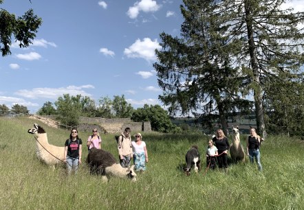 Wanderung 2, © eifelnomaden, J. Baums Wanderung 2, © eifelnomaden, J. Baums