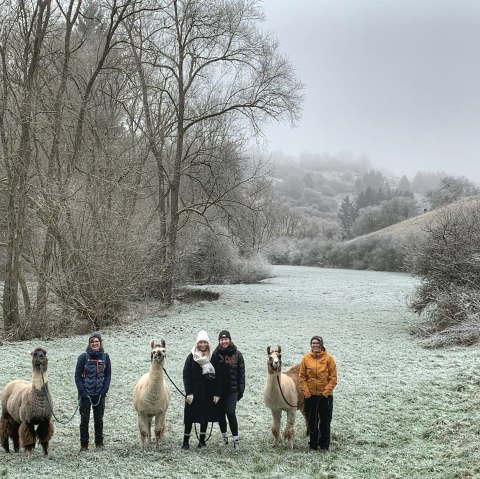 Winter 2, © eifelnomaden, J. Baums Winter 2, © eifelnomaden, J. Baums