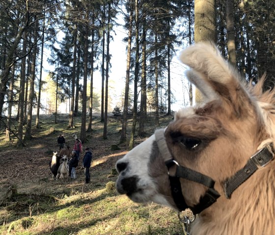 Wanderung, © eifelnomaden, J. Baums Wanderung, © eifelnomaden, J. Baums