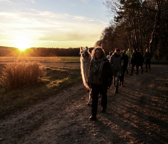 Mittsommer 2, © eifelnomaden, J. Baums Mittsommer 2, © eifelnomaden, J. Baums