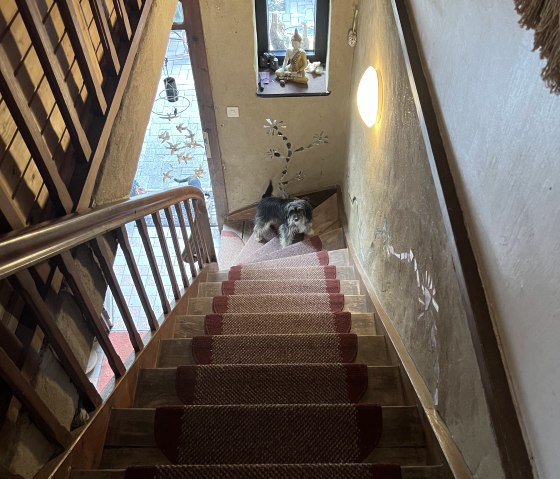 Treppenaufgang zur Ferienwohnung Treppenaufgang zur Ferienwohnung