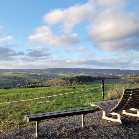 Herbstspaziergang Prüm (25), © Tourist-Information Prümer Land Sebastian Wiesen Herbstspaziergang Prüm (25), © Tourist-Information Prümer Land Sebastian Wiesen