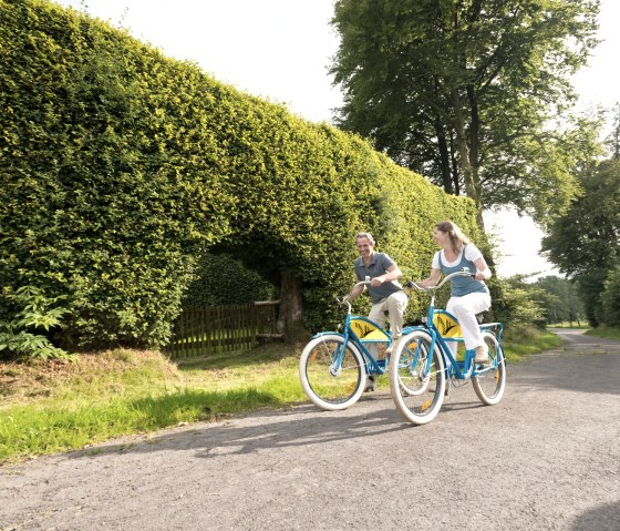 House-high beech hedges near Monschau-Kalterherberg on the Vennbahn, © vennbahn.eu House-high beech hedges near Monschau-Kalterherberg on the Vennbahn, © vennbahn.eu