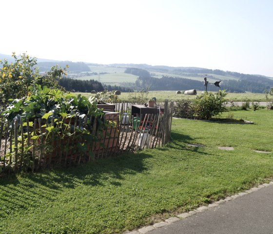 Nutzgarten Nutzgarten