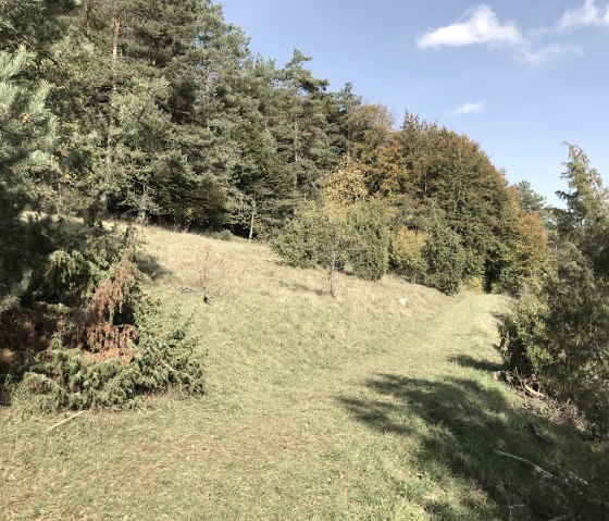 Natural trails on the Prümer Land Tour, © Eifel Tourismus GmbH Natural trails on the Prümer Land Tour, © Eifel Tourismus GmbH