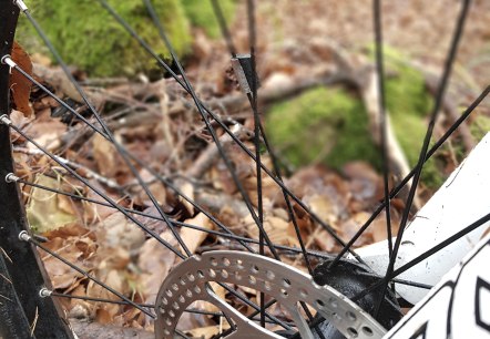 Rad im Wald, © Sebastian Wiesen Rad im Wald, © Sebastian Wiesen
