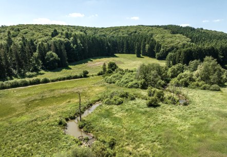 Alfbachtal, © Eifel Tourismus GmbH, D. Ketz Alfbachtal, © Eifel Tourismus GmbH, D. Ketz