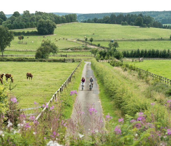 Two cyclists on a narrow path through green meadows with horses, surrounded by rolling hills and trees., © vennbahn.eu Two cyclists on a narrow path through green meadows with horses, surrounded by rolling hills and trees., © vennbahn.eu