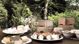 Vulkanhof Ziegenkäse Auswahl, © Andreas Goltz | phormat.de Vulkanhof Ziegenkäse Auswahl, © Andreas Goltz | phormat.de