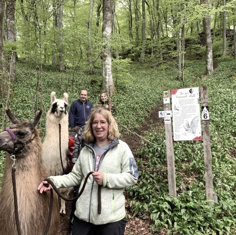 B&auml;rlauchzeit 2, &copy; eifelnomaden, J. Baums