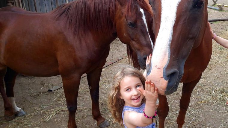 Ein kleines Mädchen lächelt und streichelt ein Pferd. Daneben steht ein weiteres Pferd in einer ländlichen Umgebung.