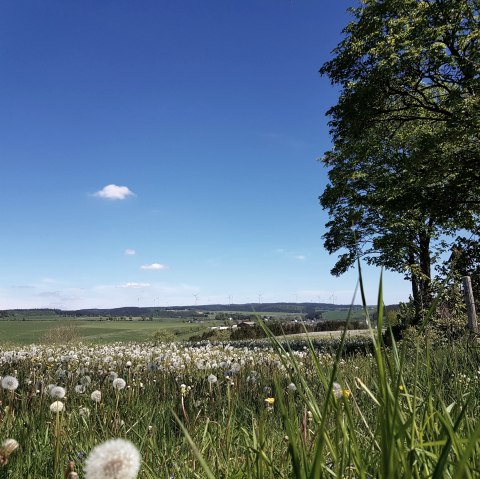 Blick auf Olzheim, &copy; TI Pr&uuml;mer Land, S. Wiesen