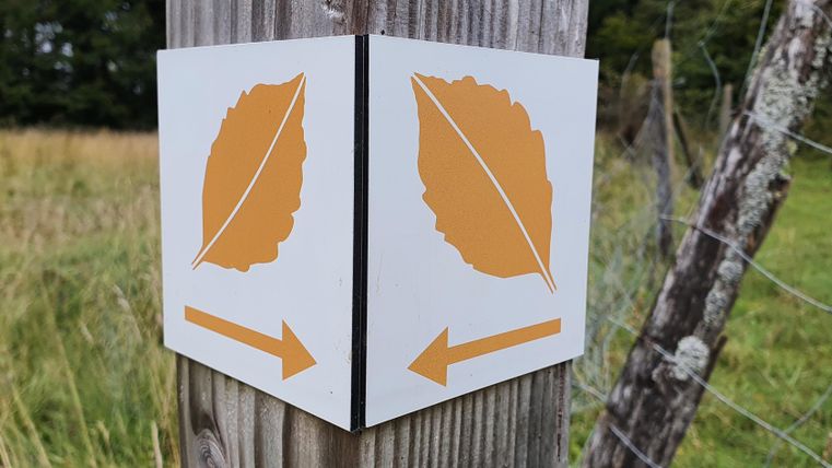 Un panneau sur un poteau en bois montre des feuilles orange et des flèches directionnelles. Il indique deux chemins différents dans la nature.