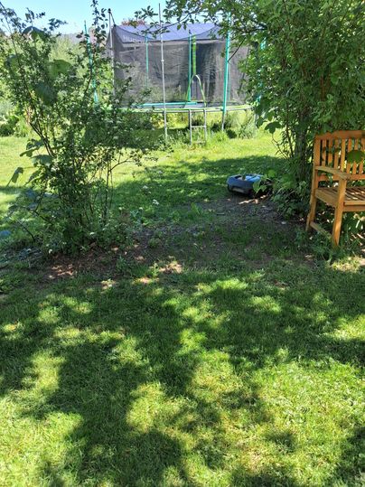 Ein schöner Garten mit grünem Gras und einem Trampolin im Hintergrund. Im Vordergrund sind einige Sträucher und eine Holzbank zu sehen.