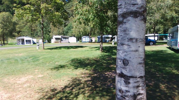 Ein Campingplatz mit mehreren Wohnwagen inmitten von Bäumen. Die Wiese ist grün und gut gepflegt.