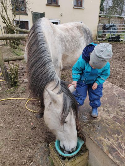 Ein kleines Kind steht neben einem grauen Pferd und füttert es. Die Szene spielt auf einem Bauernhof mit einem Gebäude im Hintergrund.