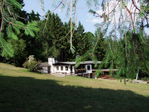 Ein ruhiges Haus umgeben von grünen Bäumen und einer sonnigen Wiese. Die Szenerie strahlt eine friedliche Naturatmosphäre aus.