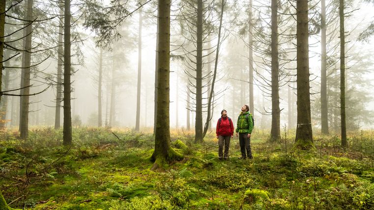 Zwei Personen im nebligen Wald auf dem Moore-Pfad Schneifel.