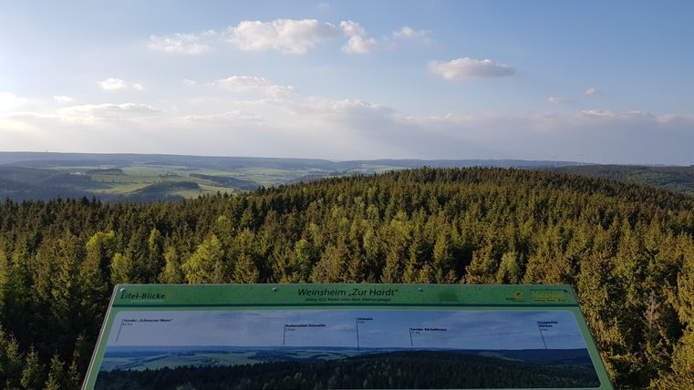 A viewpoint overlooking a green forest landscape. In the foreground, an information panel is visible.