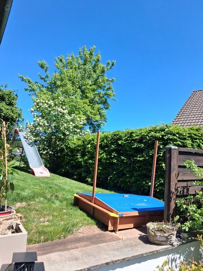 Ein sonniger Garten mit einer Rutsche und einem blauen Spielpodest. Im Hintergrund steht ein grüner Baum und der Himmel ist blau.