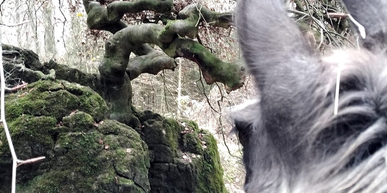 Magische Orte, &copy; eifelnomaden, J. Baums