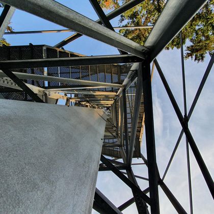 Un regard de dessous sur un escalier en métal qui mène à une plateforme d'observation. Le ciel est bleu et quelques arbres sont visibles à l'arrière-plan.