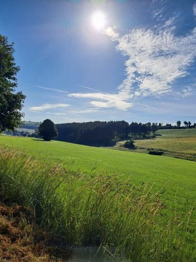 Eine weite Wiesenlandschaft unter einem klaren blauen Himmel. Die Sonne strahlt hell und es sind einige Wolken sichtbar.