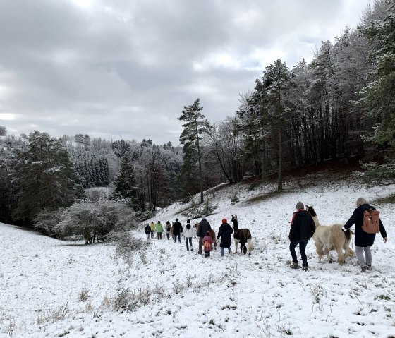 Neujahrswanderung 2, &copy; eifelnomaden, J. Baums