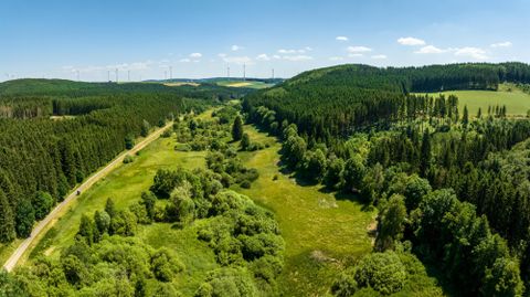 A vast landscape with dense forests and green meadows. In the background, wind turbines and a clear sky can be seen.
