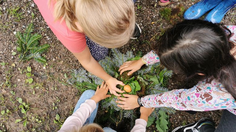 Ein kreatives Schild aus Holz mit bunten Buchstaben hängt an einem Baum. Die Worte „Freunde“, „Natur“ und „Respekt“ sind deutlich sichtbar.