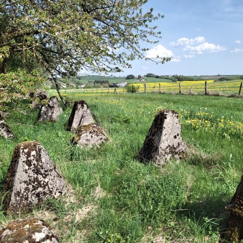 Westwall Wanderweg, © TI Islek