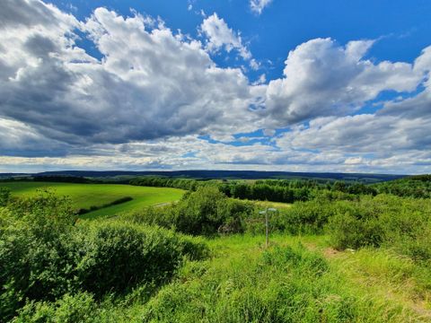 Eine grüne Landschaft mit sanften Hügeln und dichtem Bewuchs. Ausgedehnte Wolken ziehen über einen klaren Himmel.