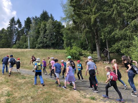 Eine Gruppe von Kindern wandert einen Weg in der Natur entlang. Im Hintergrund sind Bäume und eine Wiese zu sehen.