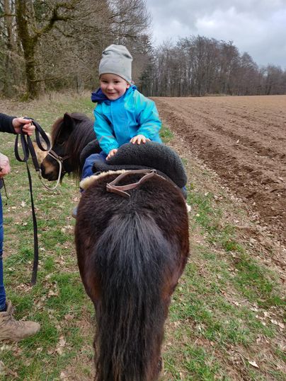 Ein Junge sitzt auf dem Rücken eines ponys im Freien. Im Hintergrund sind ein Feld und einige Bäume zu sehen.