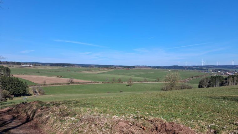 Eine weitläufige Landschaft mit grünen Feldern und einem klaren blauen Himmel. In der Ferne sind Bäume und Windräder zu sehen.