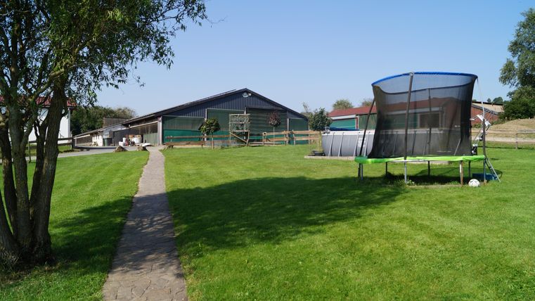 Ein grüner Garten mit einem gepflasterten Weg und einem Trampolin. Im Hintergrund sind Gebäude und ein klarer Himmel zu sehen.