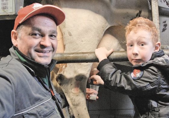 During milking