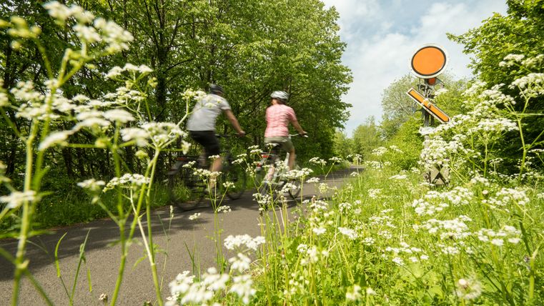 Zwei Radfahrer auf einem Weg, umgeben von grüner Vegetation und weißen Blumen.