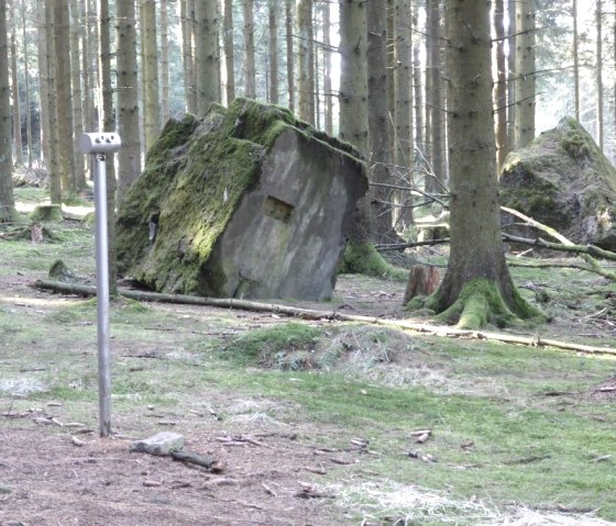 Gesprengte Bunkeranlage (Archich TI Prüm)