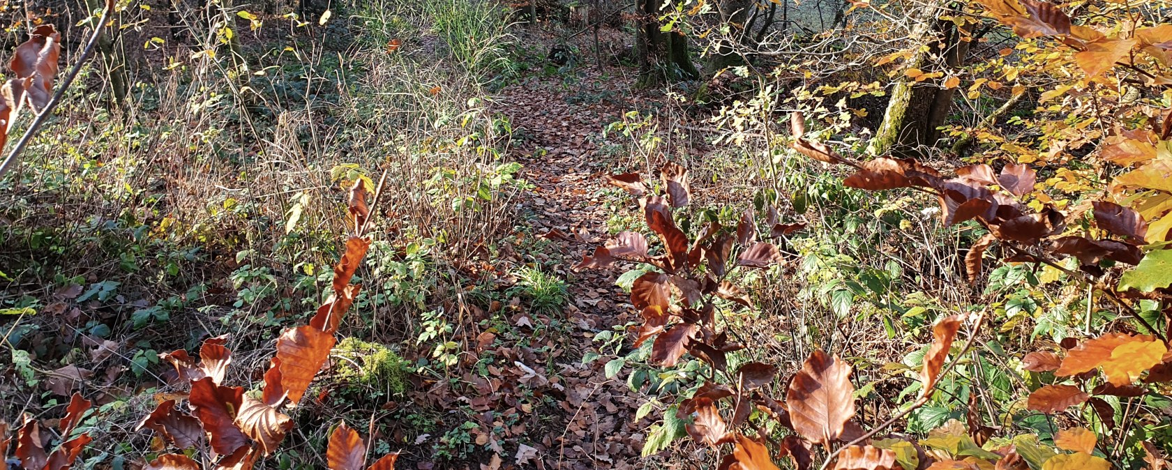 Examen de la signalisation_112020_Sebastian Wiesen (101), © Tourist-Information Prümer Land, Sebastian Wiesen