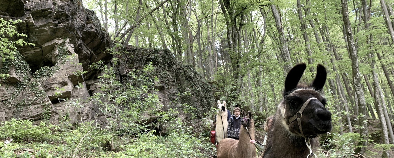 Magische Orte, &copy; eifelnomaden, J. Baums